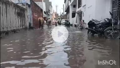 उरई: उरई के तुलसी नगर में मूसलाधार बारिश ने खोली नगर पालिका की पोल सड़क बनी तालाब,#jansamaysa