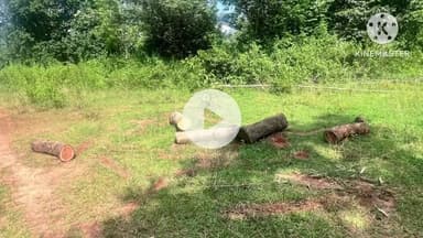 ମୋରଡା: ଭୋଳଘାଟି ଗାଁରେ ଚଢାଉକରି ଚୋରା ଚାଲାଣ ନିମନ୍ତେ ରଖାଯାଇଥିବା ବିଭିନ୍ନ ମୋଟେଇର ମୂଲ୍ୟବାନ କାଠଗଣ୍ଡି ଜବତକଲା ବନବିଭାଗ