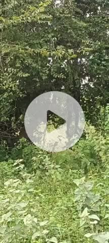 పినపాక: చెట్టుకు ఉరివేసుకొని వ్యక్తి ఆత్మహత్య గుర్తు తెలియని వ్యక్తిగా తెలియజేస్తున్న గ్రామస్తులు