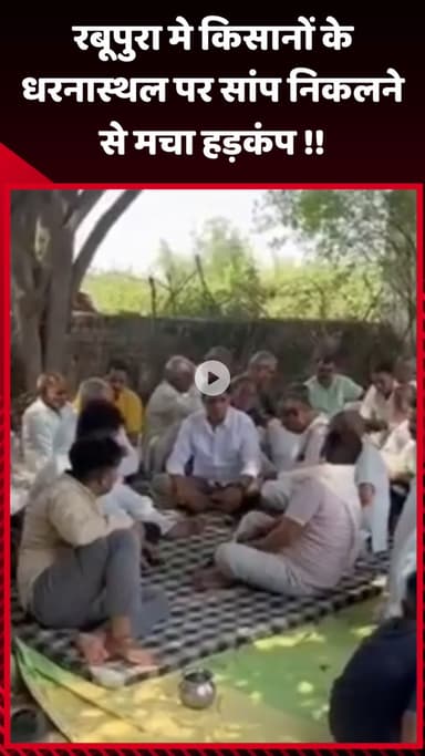 गौतम बुद्ध नगर: रबूपुरा में किसानों के धरनास्थल पर सांप निकलने से मचा हड़कंप