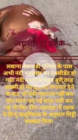 हिन्दू ऋतुरिवाज के अनुसार मिट्टी संस्कार किया अचरोल गौ रक्षक टीम अमित 🙏
