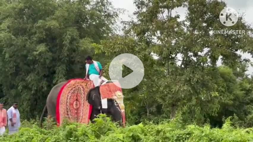 পূব যোৰহাট: কৰঙা কাতনি গাঁৱত হাতী লৈ শোভাযাত্ৰা , শ্ৰীমন্ত শঙ্কৰদেৱ গুৰুজনাৰ ৫৫৭ তম জন্মজয়ন্তী উদযাপন