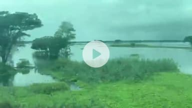 आज रेलमार्ग से देखा किसानो की फसल मे बहुत ज्यादा नुकसान हुआ है ... 2 #commandosurendersingh