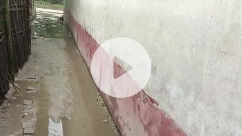 फलका प्रखंड अंतर्गत सालेहपुर पंचायत में विकास एवं मनरेगा योजना के नाम पर धांधली की होड़ #मनरेगा_खाओ_पकाओ_योजना #