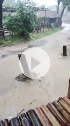 महुआवा मे लगातार 13 घंटो से हो रही है बारिश रुकने का नाम नही लेरहा @akhilsahni #barish