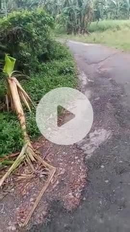 बुजुर्ग डूबा आठ नंबर और सात नंबर में यह जनरल का सुविधा नहीं मिल गया सरकार से निवेदन करते हैं जो हम को कोई सुविधा दिया जा