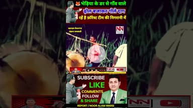 भेड़िया के डर से लोग ढ़ोल बजाकर गोले दागकर रातों में जाग रहें है फ़ॉरेस्ट टीम की निगरानी में ! #bhediya