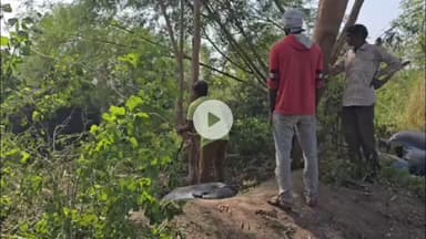 ઉપલેટા: મેલી મજેઠી ગામના ખેડૂતોની સમસ્યાને લઈને મામલતદાર તાલુકા વિકાસ અધિકારી સાહિત્યનાઓને આવેદનપત્ર પાઠવ્યું