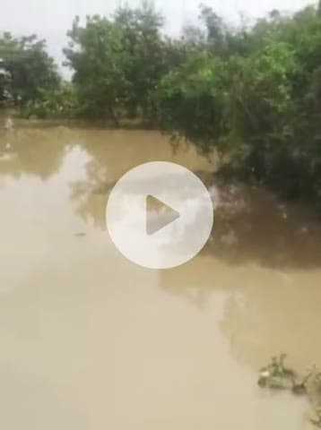 दर्जिया में आये भयानक बाढ़