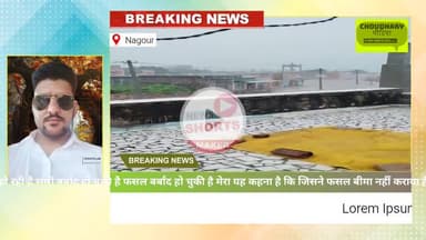 नागौर जिले के जल क्षेत्र में भारी बारिश किसानों की फसलों का हुआ नुकसान