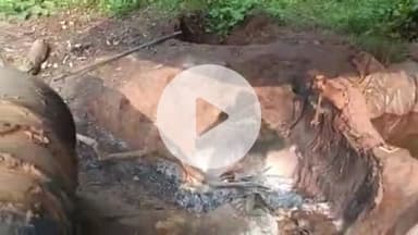 बोराम: बोड़ाम में अवैध शराब भट्टी पर छापेमारी, 1200 किलो जावा महुआ नष्ट, 32 लीटर शराब जब्त