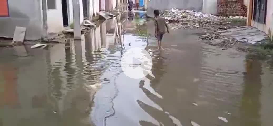 सदर: डाफी में जलजमाव से सैकड़ों के घर के लोग परेशान, जल निकासी ना होने का लगाया आरोप #samasya