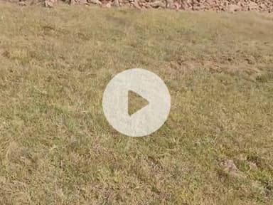 गैर आदिवासी द्वारा लूट जा रहा है गरीब आदिवासी का जमीन