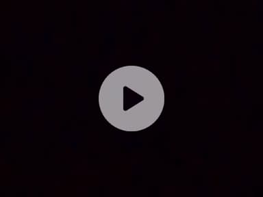 fantus yadav maffya 12