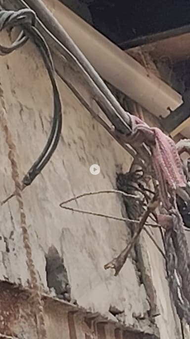 palwal khail kallan मोहले की गलियां
लव इन टोक्यो जापान बिजली के तारों का जोहड़ जो कभी भी किसी बड़े हादसे को अंजाम दे स