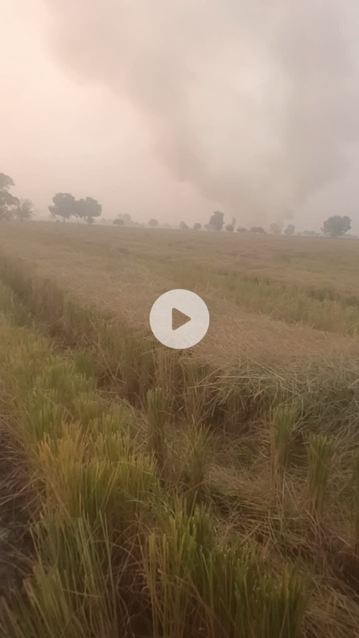 किसान सरेआम लग रहे हैं परली में आग #news #city #pollution #haryana