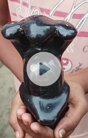 ये वीडियो मुज़फरपुर जिला के ग्राम हरचंदा पंचायत का है