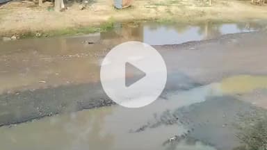 पानी का पाइप फटने से सड़कों पर भरा हुआ पानी कोई भी सुनने को तैयार नहीं
इस वीडियो को ज्यादा से ज्यादा शेयर करें