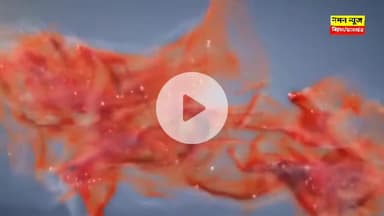 अस्ताचलगामी सूर्य को अर्घ्य देने के साथ छठ का तीसरा दिन संपन्न..
#chhatpuja2025 #patna #patelnagarpatna