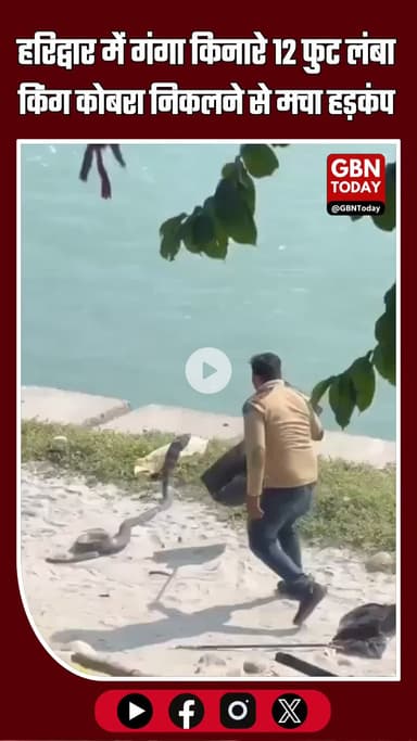 हरिद्वार के चंडी घाट पर गंगा किनारे 12 फुट लंबा किंग कोबरा निकलने से मचा हड़कंप!
#Haridwar #ChandiGhat #KingCobra #Snake