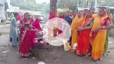 पाकुड़िया: पाकुडिया में आंवले के पेड़ तले पूजा-अर्चना कर महिला श्रद्धालुओं ने मनाई अक्षय नवमी #maheshpur