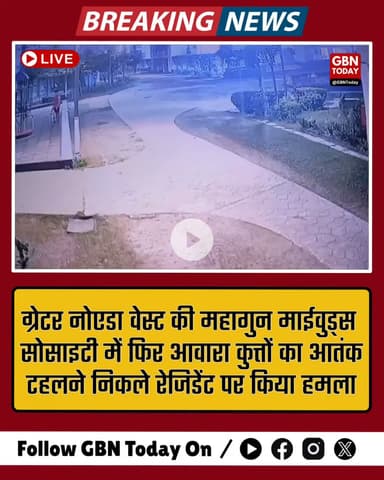 ग्रेटर नोएडा वेस्ट की महागुन माईवुड्स सोसाइटी में फिर आवारा कुत्तों का आतंक #GreaterNoidaWest #MahagunMywoods #StrayDogs