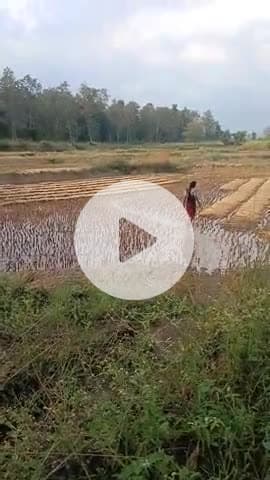 Seoni jile ki kurai tahsil