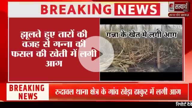 रिपोर्ट देवेन्द्र कुमार सत्यार्थ न्यूज रुदावल, भरतपुर
खबर एवं विज्ञापन के लिए संपर्क करें
मो.7014152481