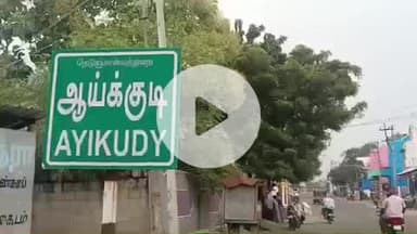 கடையநல்லூர்: ஆய்க்குடியில் நாய்கள் தொல்லை அதிகரிப்பு பொதுமக்கள் பேரூராட்சியில் புகார்