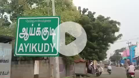 கடையநல்லூர்: ஆய்க்குடியில் நாய்கள் தொல்லை அதிகரிப்பு பொதுமக்கள் பேரூராட்சியில் புகார்