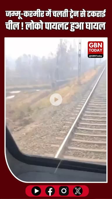 जम्मू-कश्मीर में चलती ट्रेन से टकराई चील! विंडस्क्रीन तोड़कर अंदर घुसी, लोको पायलट घायल #JammuKashmir #Anantnag