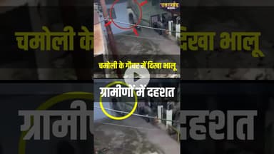 चमोली के गौचर में दिखा भालू ग्रामीणों में दहशत !#bearattack #chamoliuttarakhand #viralvideo