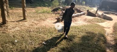 छोटे बच्चे के द्वारा पेड़ पौधा के प्रति रुची,