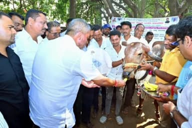 ಮೂಡಲಗಿ: ಗುರ್ಲಾಪೂರ್ ಗ್ರಾಮದಲ್ಲಿ ಜಾನುವಾರುಗಳಿಗೆ ಉಚಿತ ಕಾಲುಬಾಯಿ ರೋಗ ಲಸಿಕಾ ಅಭಿಯಾನಕ್ಕೆ ಶಾಸಕ ಬಾಲಚಂದ್ರ ಜಾರಕಿಹೊಳಿ ಚಾಲನೆ