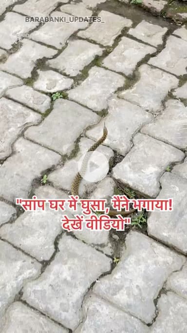 “सांप घर में घुसा, मैंने भगाया! देखें वीडियो” #barabanki #news #bbk #update #viralpost #newreel #news #barabanki #viralpost #snack