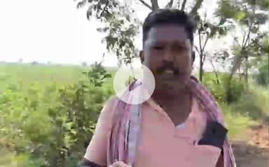 మానవపాడ్: మనోపాడు మండల కేంద్రంలోని మిరప రైతులను ఆదుకోవాలని రైతులు ఆవేదన