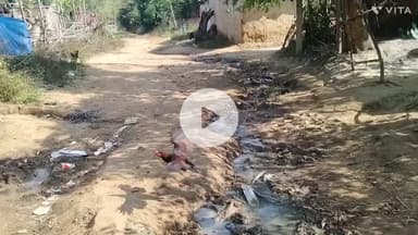 लोहारदा जिला का चीरी पंचायत का वार्ड नंबर 6 का रास्ता है यहां का मुखिया न पंचायत सचिव न विधायक कोई ध्यान नही दे रहा है
