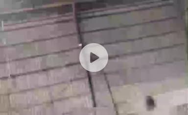 ఉండవెల్లి: ఉండవెల్లి మండల కేంద్రంలోని వరసిద్ధి వినాయాక పత్తి కొనుగోలు కేంద్రంలో మంటలు...తప్పిన ప్రమాదం