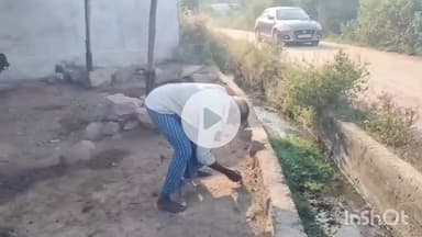 గన్నేరువరం: గన్నేరువరంలోని రాత్రి ఇంటి ఆవరణలో కొట్టి వేసిన దూడలు, బర్రెలను బొలెరో వాహనంలో వచ్చి ఎత్తుకెళ్ళిన దొంగలు.