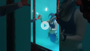 #music #punjabisong #song #folk #love #viralvideo #news #animemusic #jalpari #जलपरी नजीबाबाद नुमाइश