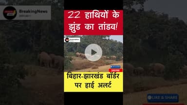 भेलवाघाटी और देवरी में 22 हाथियों की धमक, वन विभाग ने जारी की चेतावनी #trending #elephantattack