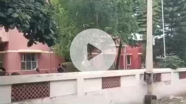 சிவகிரி: தனியார் செங்கல் நிறுவனத்தில் லாரி மோதி 11 மாடுகள் உயிரிழப்பு 20 மாடுகள் காயம் காவல்துறை விசாரணை