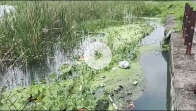 பட்டுக்கோட்டை: வயல்களை மூழ்கடித்த காற்றாற்று வெள்ளம்... பட்டுக்கோட்டை அருகே விவசாயிகள் தவிப்பு