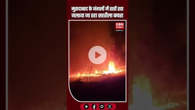 मुरादाबाद के भोजपुर जंगलों में ई-कचरा माफिया का आतंक #Moradabad #Bhojpur #EWaste #Pollution