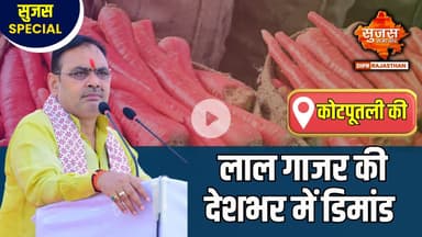 #kotputlibehror कोटपूतली में लाल गाजर की खेती ने बदली किसानों की किस्मत! | Sujas Special | Sujas
