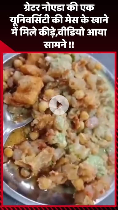 गौतम बुद्ध नगर: ग्रेटर नोएडा की एक यूनिवर्सिटी की मेस के खाने में मिले कीड़े, वीडियो आया सामने