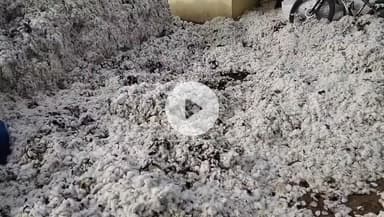 రాయపోల్: రాయపోల్ పండించిన పత్తి ధాన్యం ఇంట్లో దగ్ధం రైతు ఆవేదన