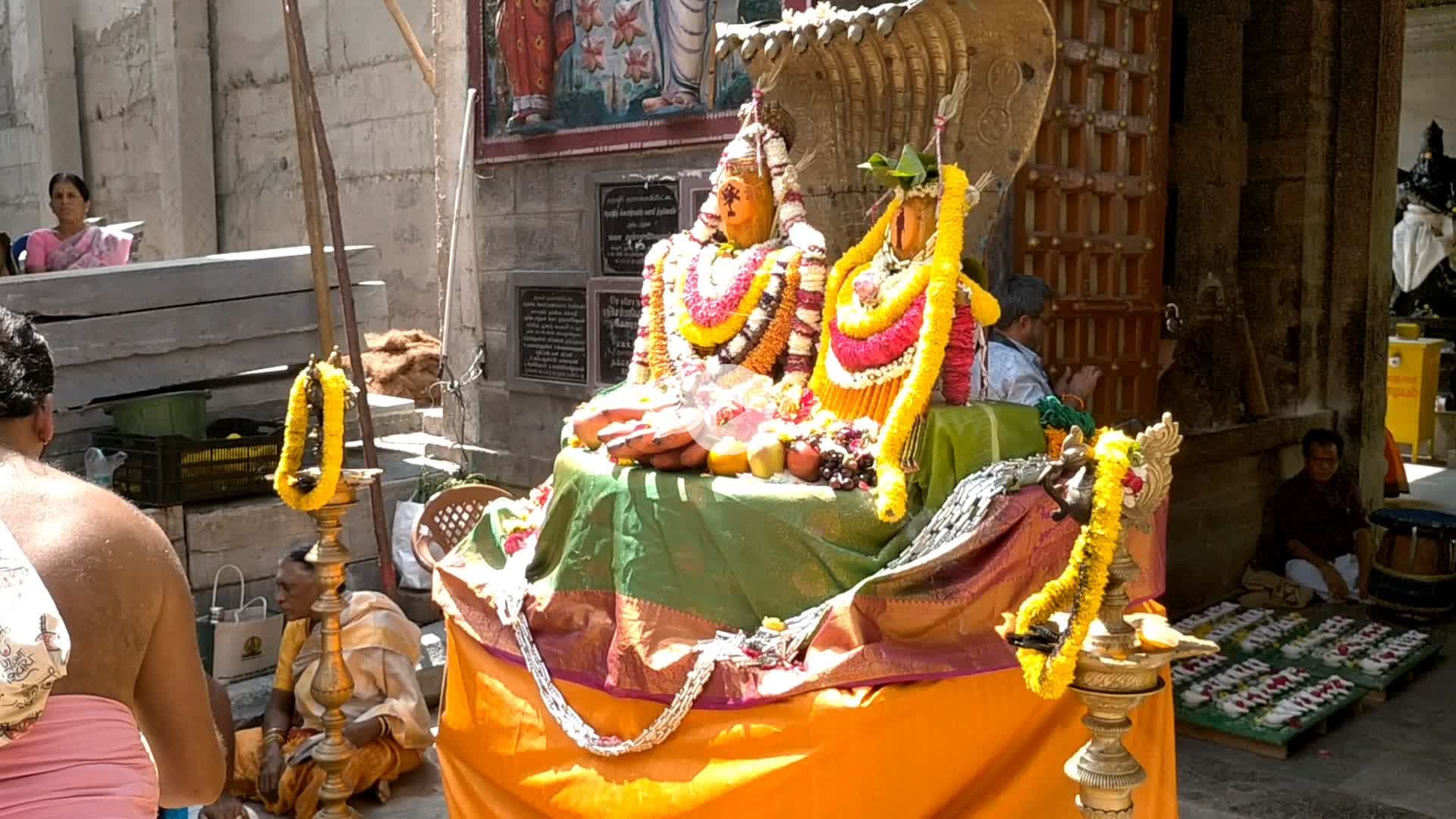 தருமபுரி: வாழப்பாடி: குமாரசாமிபேட்டை சிவசுப்ரமணியசுவாமி கோயிலில் பாம்பு தீயணைப்புத்துறை மீட்பு..