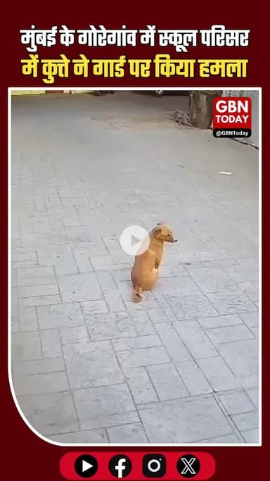 मुंबई के गोरेगांव में स्कूल परिसर में कुत्ते का हमला, गार्ड घायल #Mumbai #Goregaon #AdarshVidyalaya #DogAttack