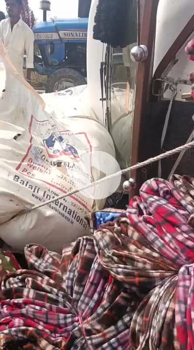 नौबतपुर के लोदीपुर गांव में सरमेरा पर हुआ एक्सीडेंट